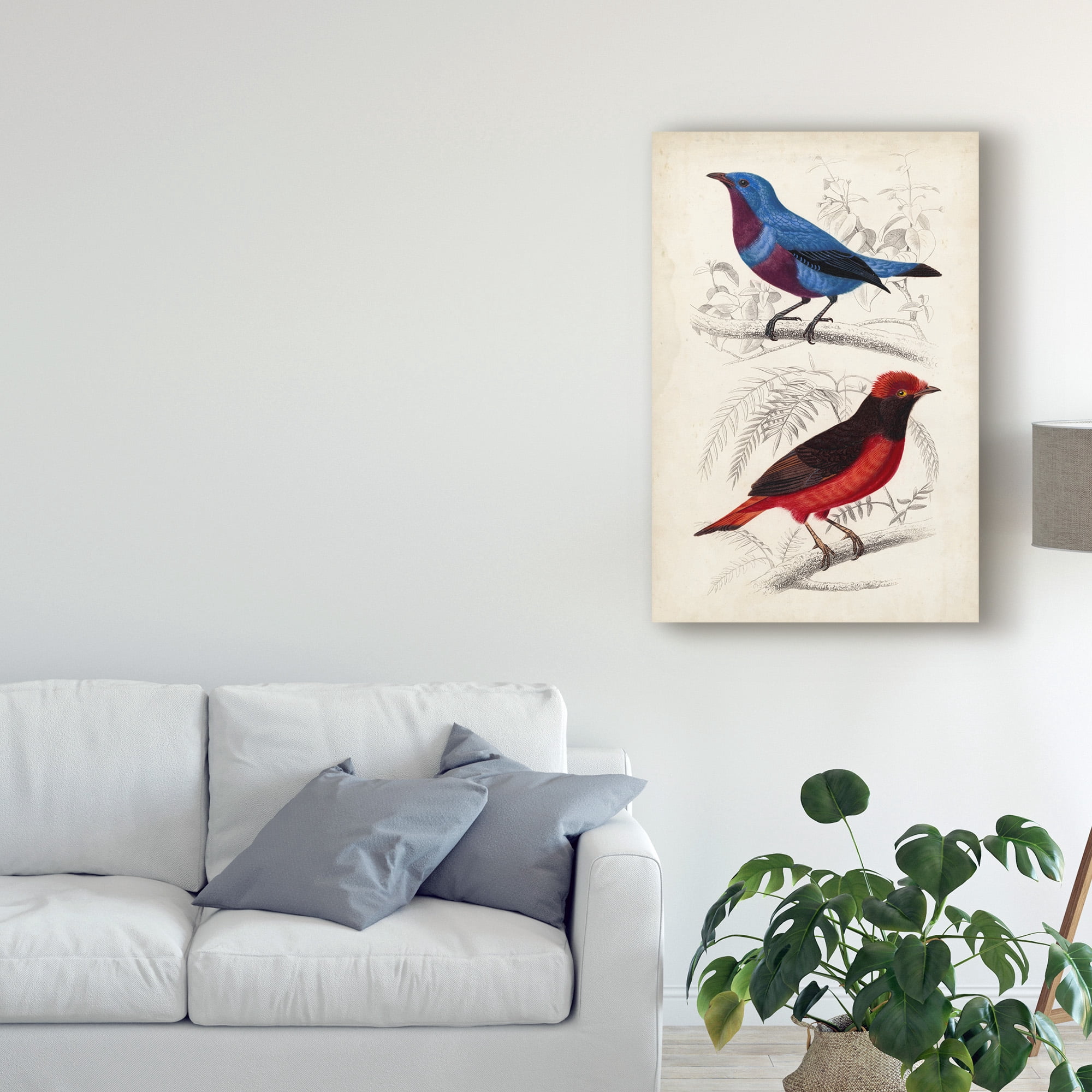 Trademark Fine Art 'D'Orbigny Birds II' Canvas Art by M. Charles D'Orbigny
