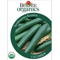 Burpee 800 mg Organics Tendergreen Burpless Cucumber, Annual Vegetable Seed, Full Sun