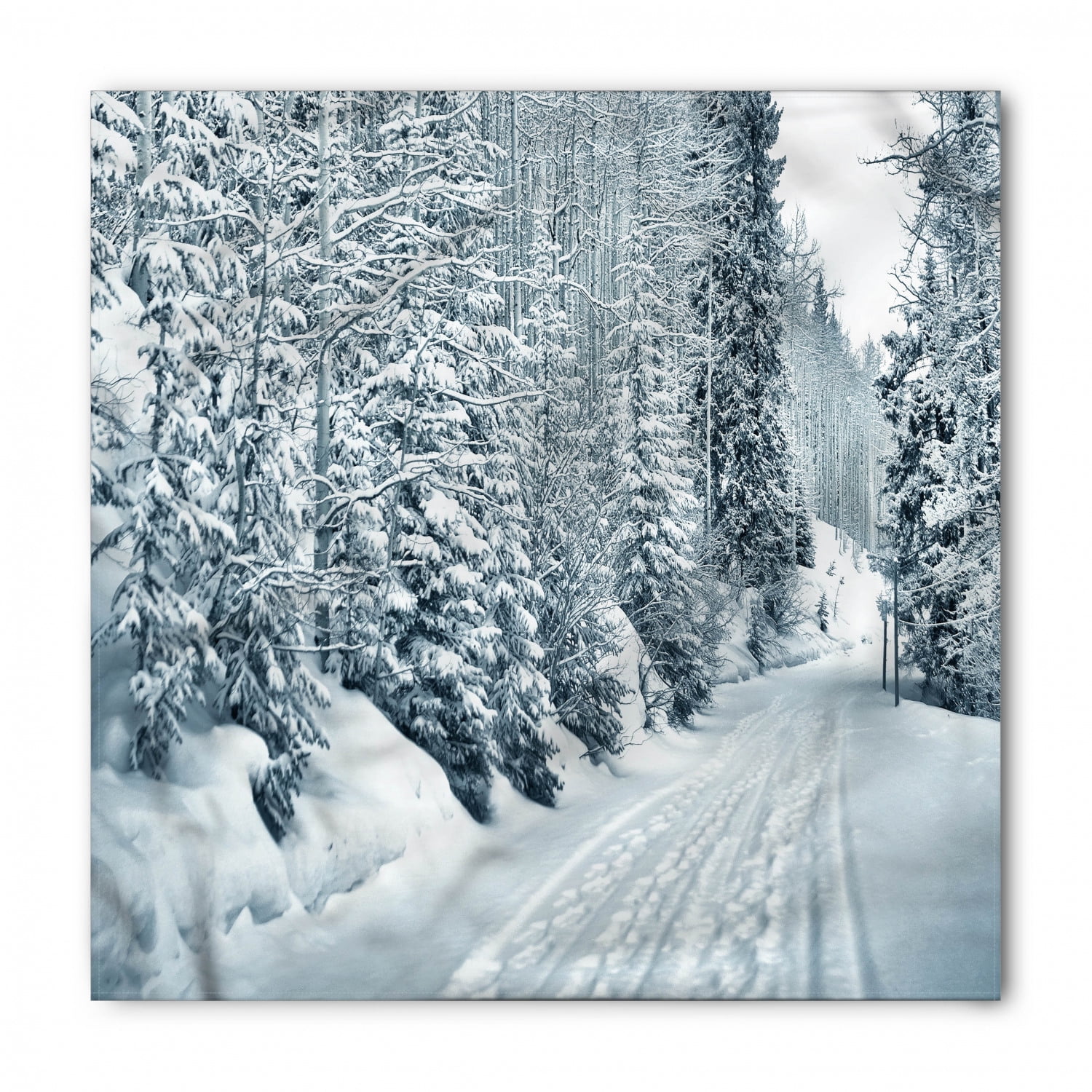 fax Infecteren Rook Winter Bandana, Ski Theme Snowy Road, Unisex Head and Neck Tie, by  Ambesonne - Walmart.com