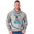 thumbnail image 5 of Dream Big Little Pug Sunglasses Dog Hoodie Sweatshirt Women Men Brisco Brands S, 5 of 5