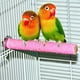 thumbnail image 2 of 4 piezas Parrot Scrub Station Board Chew Toy Xemadio HMYH256, 2 of 6