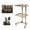 Gold, variant on TOOL1SHOoo Salon Trolley Hairdressing Cart 2-Tier Stainless Steel Gold