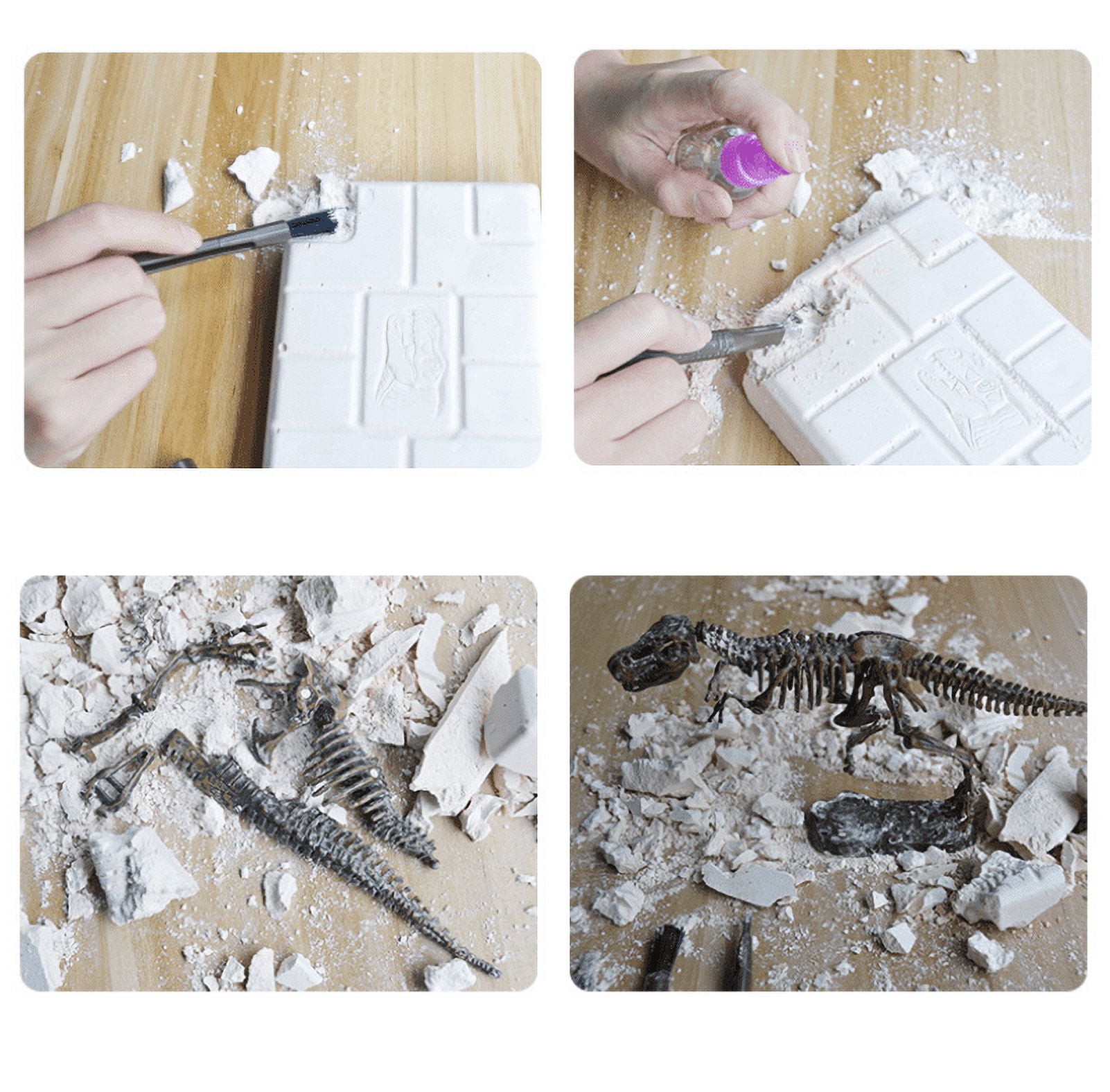 Prehistoric Past Dinosaur Skeleton Fossil Excavation Kit T-Rex