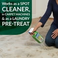 thumbnail image 5 of Simple Green Cat Pet Stain and Odor Remover, Citrus Scent, 32 oz Sprayer & 1 gallon Refill, 5 of 9