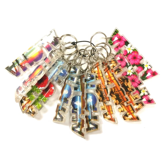 Souvenir Books Hawaii Keychain Bundle - Hial