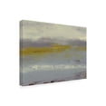 thumbnail image 2 of Sharon Gordon 'Milieu II' Canvas Art, 2 of 3