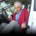 thumbnail image 2 of 2 Pieces Emson Car Cane Portable Car Handle, 2 of 5