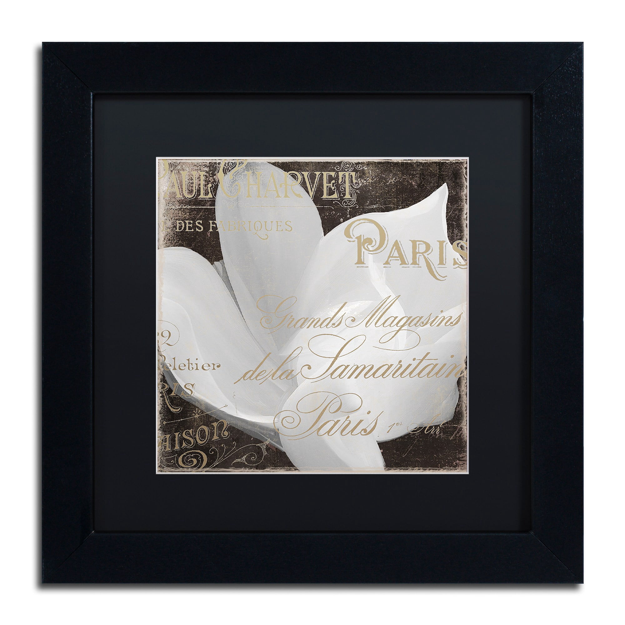 Trademark Fine Art "Fleurs Blanc II" Canvas Art by Color Bakery Black Matte, Black Frame