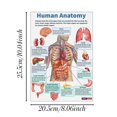 thumbnail image 3 of Liquidation! Ensemble de 16 Affiches d'Anatomie Humaine Biologie Humaine Affiches de Sciences Humaines. Affiche Éducative de Sciences du Lycée Affiches de Classe 8x10 Pouces Non Encadrées Parfaites pour la Décoration de Chambre Blanc, 3 of 9