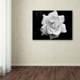 thumbnail image 3 of Kurt Shaffer 'Gardenia in Black and White' Canvas Art, 3 of 4