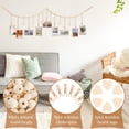 thumbnail image 3 of Expositor de fotos KLOGTSIND, 3 unidades, decoración de pared con 9 clips y corazones, 3 of 7