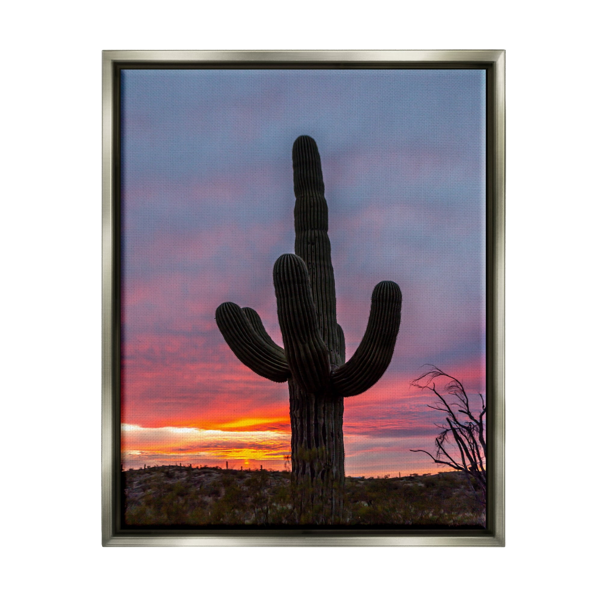 Stupell Industries Desert Cactus Plant Silhouette Radiant Sunset Sky Photograph Luster Gray Floating Framed Canvas Print Wall Art, Design by Jeff Poe Photography