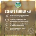 thumbnail image 5 of OxBow Foin de Luzerne pour Petits Animaux, 144oz / 9lb, 5 of 5