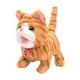 thumbnail image 1 of Juguete de peluche eléctrico para gato, encantador juguete de peluche interactivo, juguete peludo para gatito. amarillo, 1 of 9