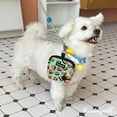 thumbnail image 6 of Raisingwell Dog Treat Pouch for Pet Walking and Training with Clicker Poop Bags Small Fanny Zipper Pack Holder for Puppy Snack Dispenser Kit for Leash and Outdoor Use (Watermelon), 6 of 6