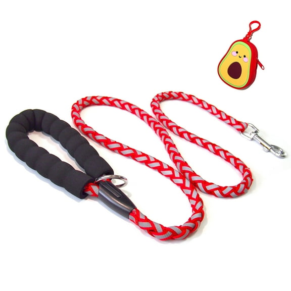 5FT Dog Leash with Comfortable Padded Handle and Highly Reflective Threads for Small Medium and Large Dogs
