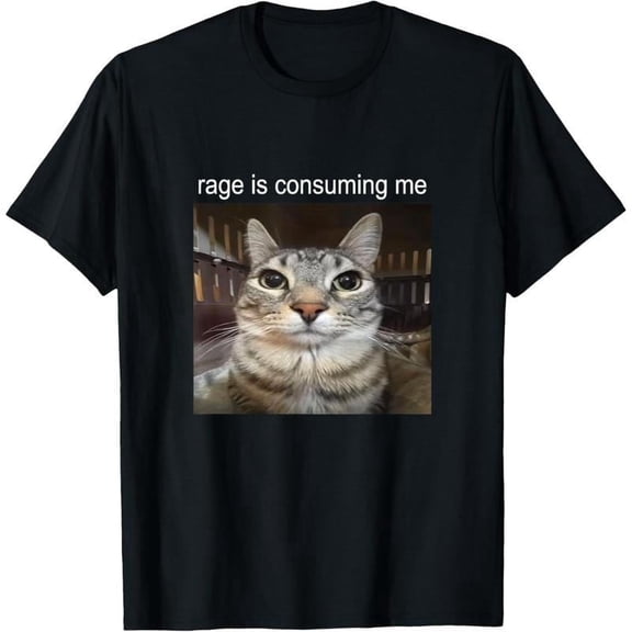 Men's Rage Is Consuming Me Silly Staring Cat Meme T-Shirt