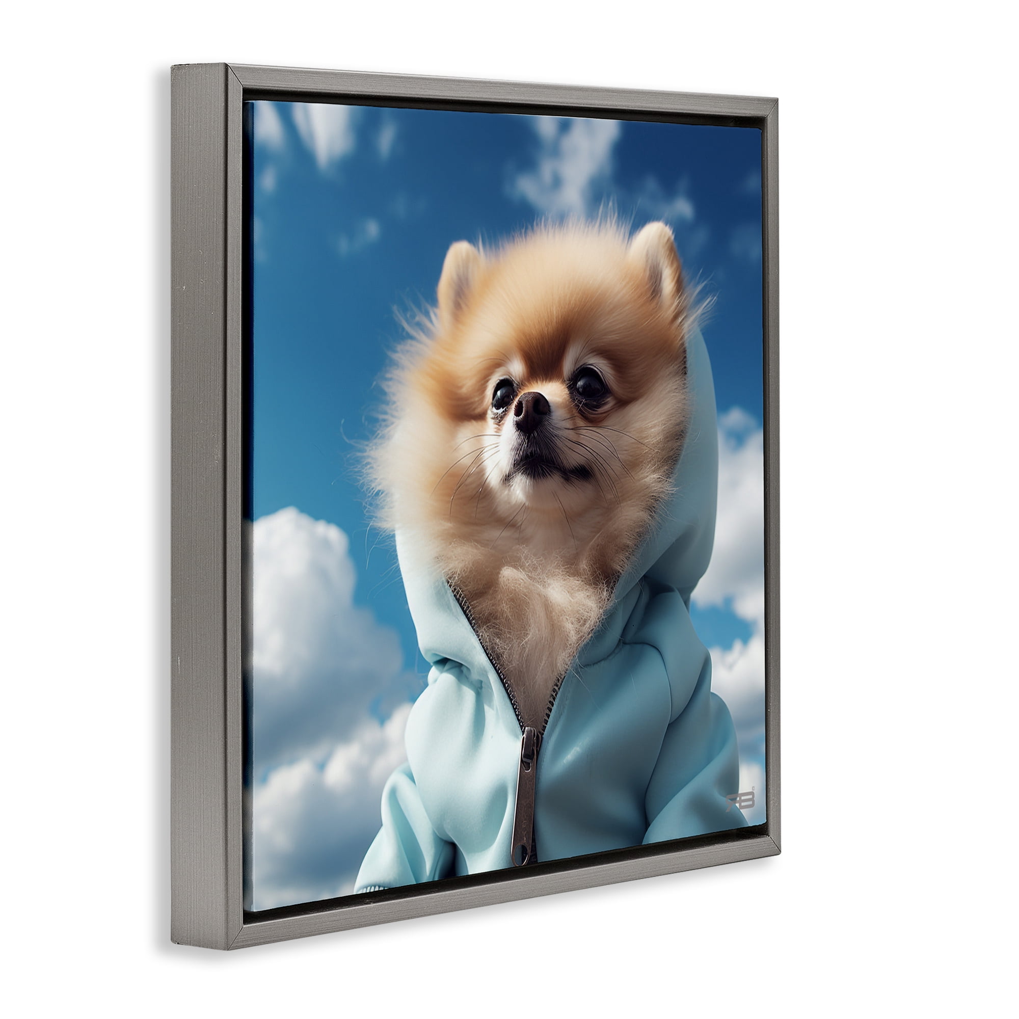 Stupell Industries Pomeranian Dog & Clouds Animals & Insects Painting Gray Floater Framed Canvas Art Print Wall Art, 25 x 25
