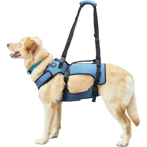 Coodeo Dog Lift Harness, Support & Recovery Sling, Pet Rehabilitation Lifts Vest Adjustable Breathable Straps for Old, Disabled, Joint Injuries, Arthritis, Paralysis Dogs Walk (Blue-L)