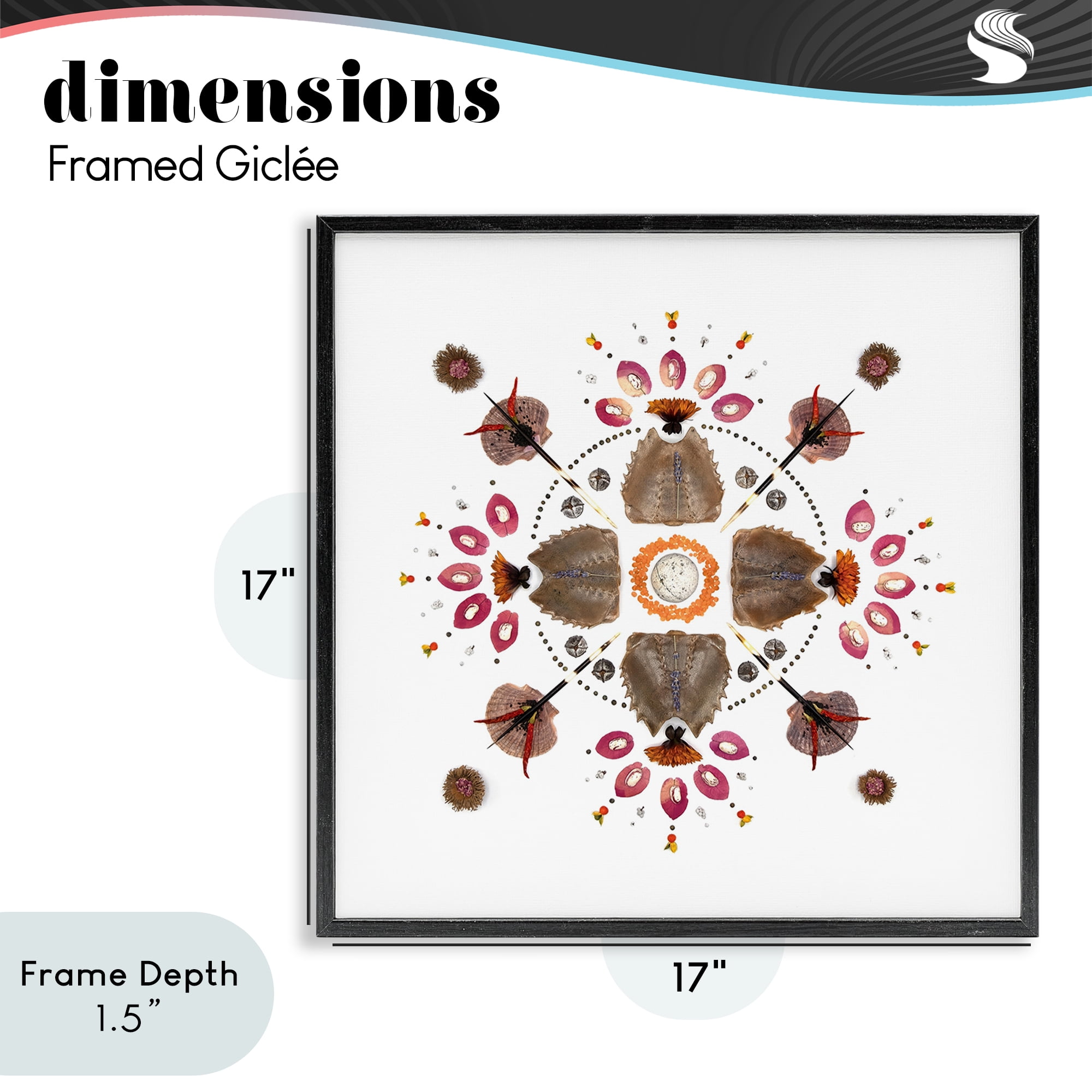 Stupell Industries Symmetrical Nautical Collection Black Framed Giclee Art, design by Beth Adoette