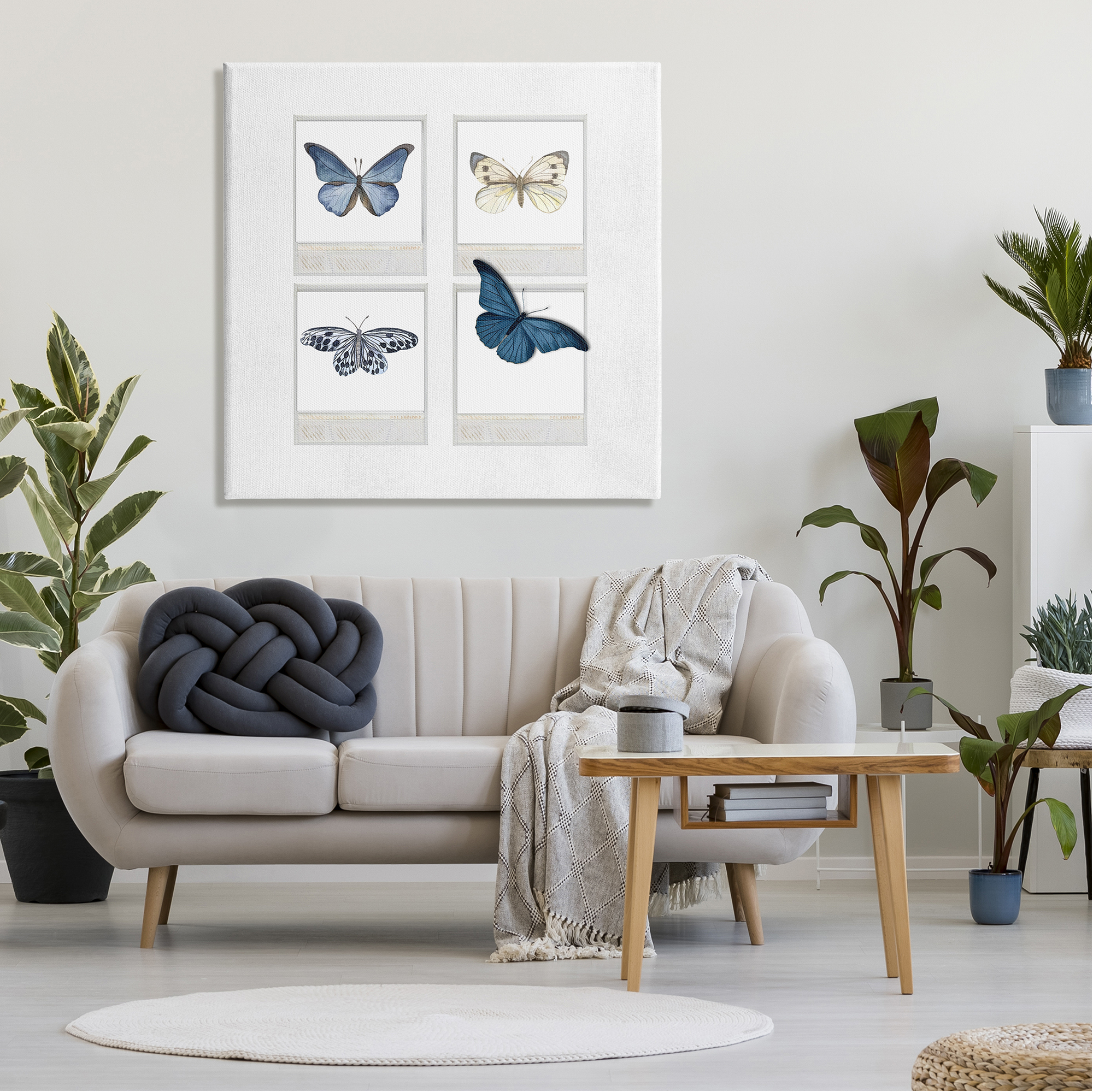 Stupell Cottage Retro Film Butterflies Animals & Insects Painting Gallery Wrapped Canvas Print Wall Art