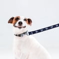 thumbnail image 2 of Correa Para Perro Importadora La Merced Negro Estampado Huellitas Talla Mediana Ergonómico Altamente Resistente, 2 of 3