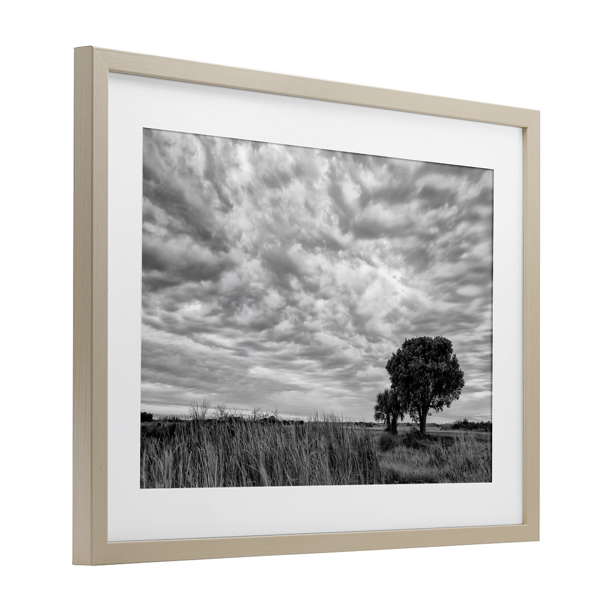Stupell Industries Solitary Tree Beneath Clouds Birch Framed Print Under Glass, design by Jon Evan