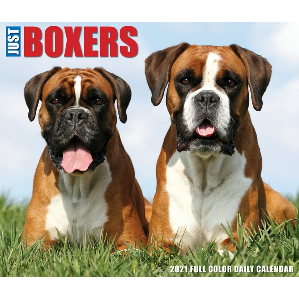 Just Boxers 2021 Box Calendar (Dog Breed Calendar) (Other) Walmart
