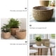 thumbnail image 4 of 1 maceta tejida de paja, cesta para plantas, maceta redonda tejida (caqui), 4 of 6