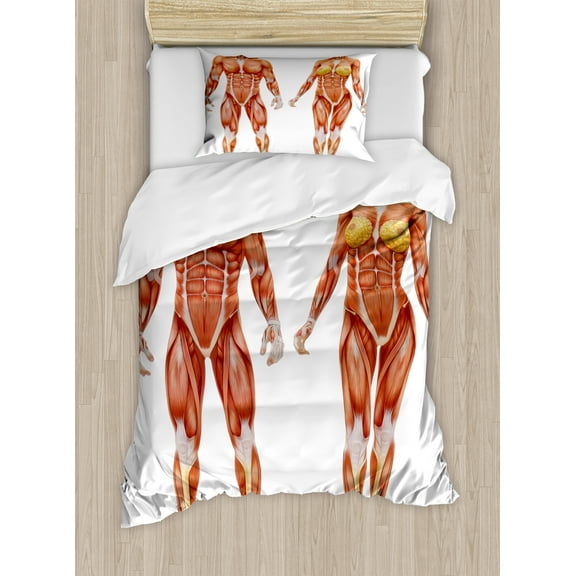 Human Anatomy Duvet Cover Set, Male and Female Bodies with Inner Mass Build Display Muscle System Graphic Print, Decorative 2 Piece Bedding Set with 1 Pillow Shams, Twin Size, Coral, by Ambesonne