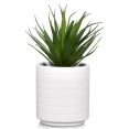 thumbnail image 1 of Bouclair Plante Tropicale en Pot en Céramique Blanche, 1 of 2