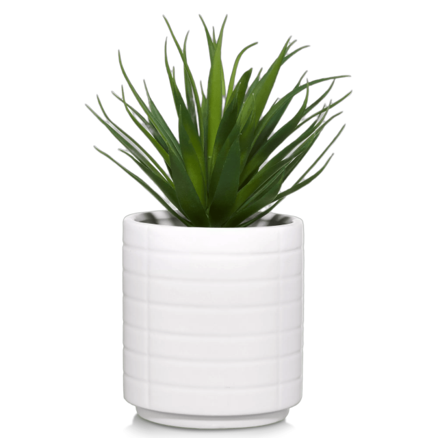 Bouclair Plante Tropicale en Pot en Céramique Blanche