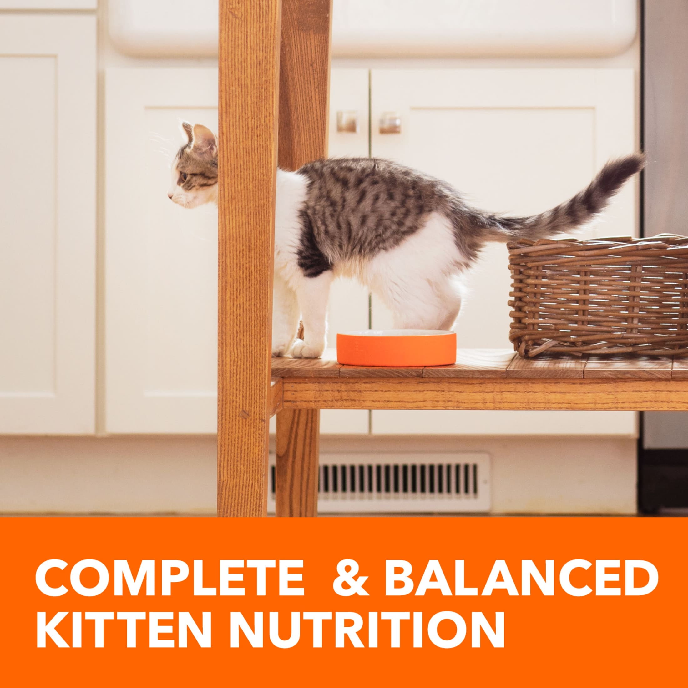 Iams Proactive Health Chicken Dry Cat Food For Kittens, 16 Lb Bag