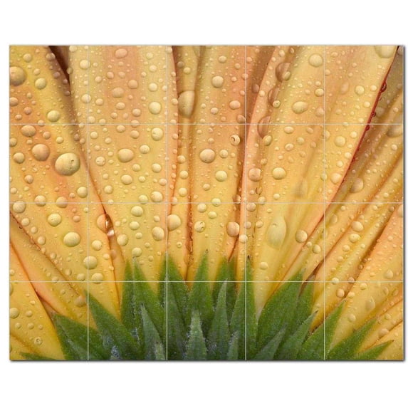 Flower Photo Ceramic Tile Mural Kitchen Backsplash Bathroom Shower, 404807-L54