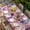 Beige, variant on Farmhouse Flowers Table Cloths for 4 Foot Rectangle Tables, Spring Watercolor Purple Pink Floral Beige Patio Waterproof Elastic Fitted Tablecloths, Washable Rectangular Table Cover for Camping