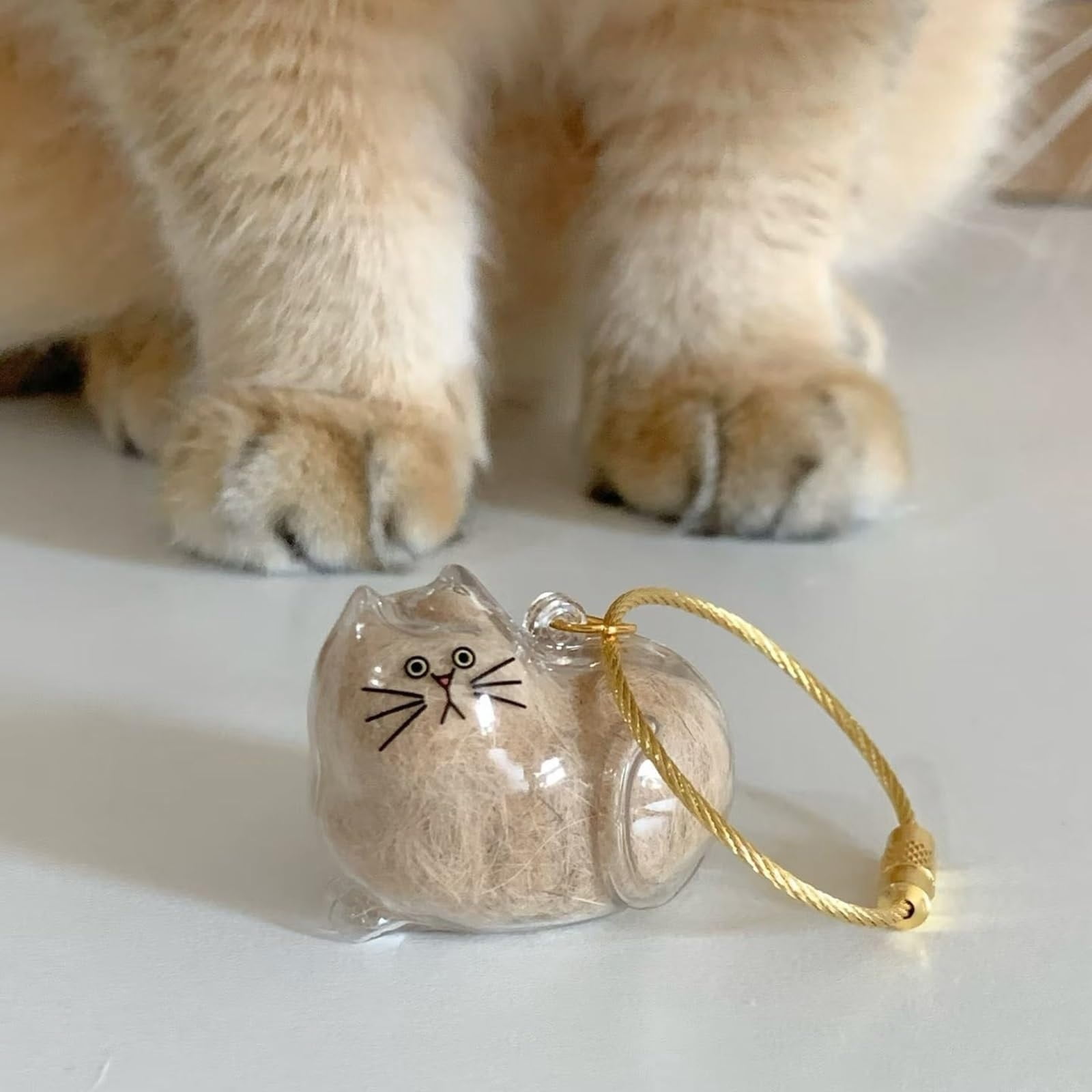 Cat Hair Keepsake Capsule Keychain, Pet Memorial Bottle for Collecting and Storing Cat Hair, Portable Hair Storage Jar for Cat Lovers and Pet Loss Remembrance Gifts