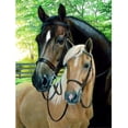 thumbnail image 1 of 5D Diamond Painting Full Drill Kits Rhinestone pegado Arts Craft Home Wall Decor 30x40cm Black Horse White Horse Sincero Hogar, 1 of 6