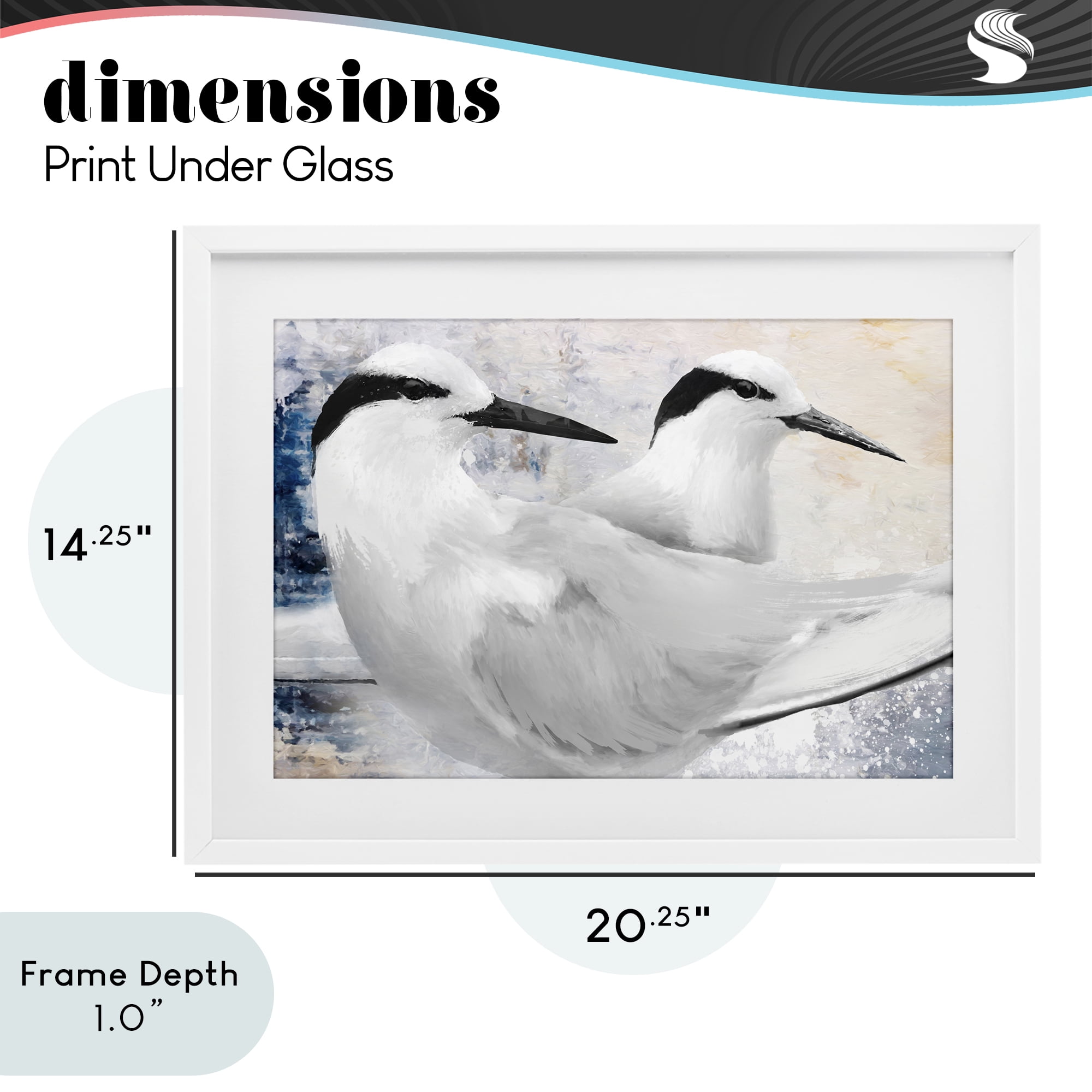 Stupell Industries Black Naped Tern White Framed Print Under Glass, design by Porter Hastings