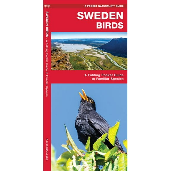 Sweden Birds : A Folding Pocket Guide to Familiar Species