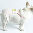 thumbnail image 6 of Mosey Soft Dog Shorts Comfortable   Pet Clothing   Health Care, 6 of 7