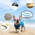 thumbnail image 6 of Dog Goggles Small to Medium Breed, Anti-UV Sunglasses for Dogs Medium Breeds, Windproof Driving Dog Eye Protection, Puppy Glasses with Elastic Straps, Adjustable, Black Frame with Red Trim, 6 of 9