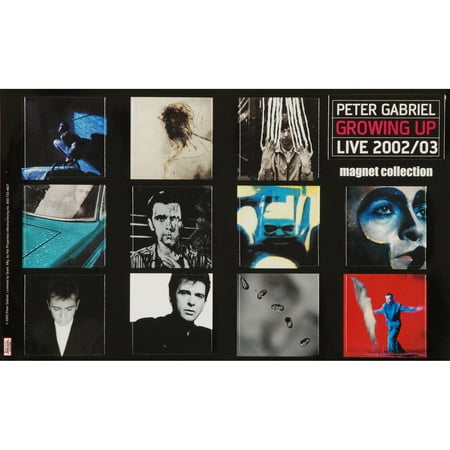

Peter Gabriel - Magnet