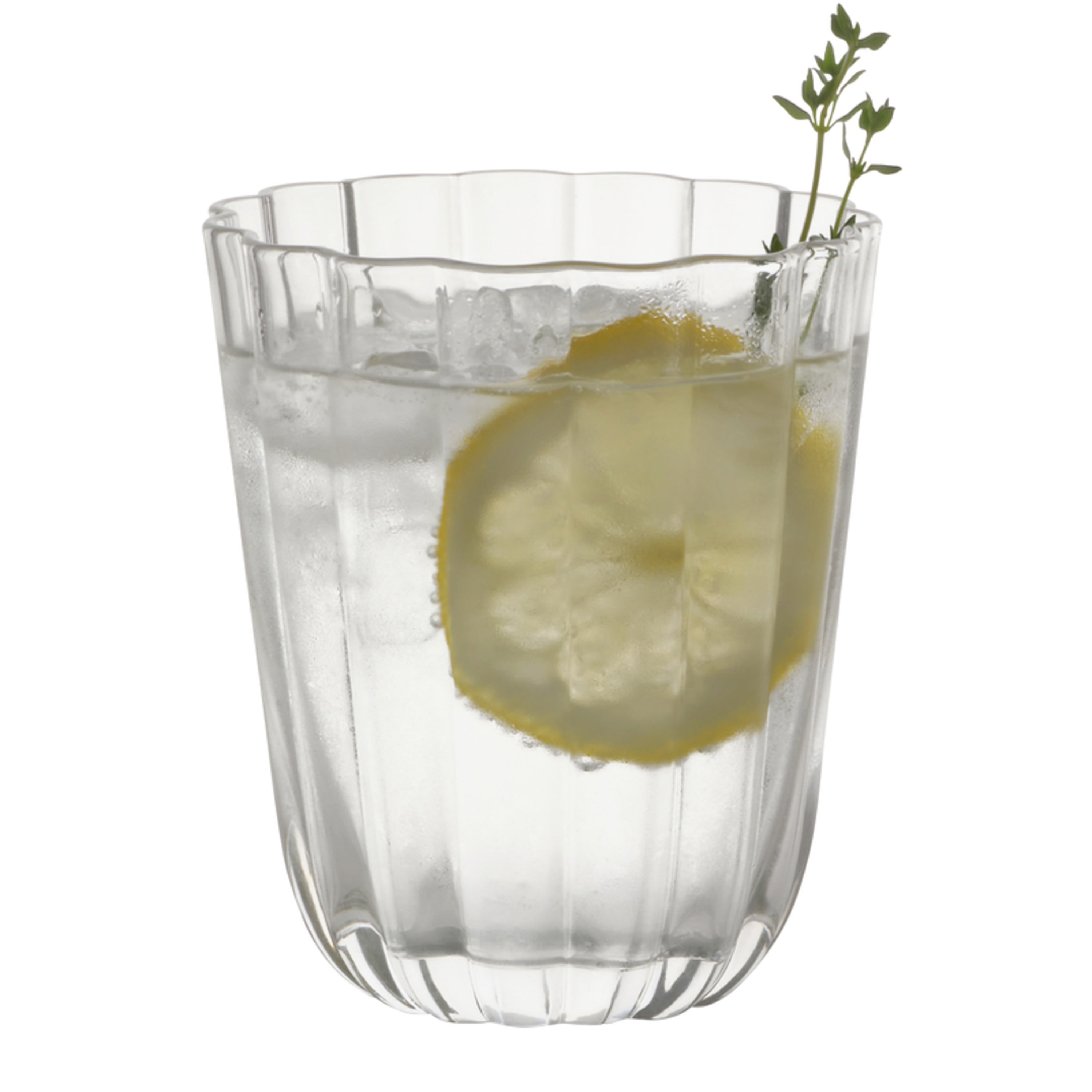Beautiful Scallop Water Glasses Set of 4 Clear Glass by Drew Barrymore