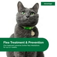 thumbnail image 2 of Advantage Topical Flea Treatment & Prevention For Large Cats Over 9 lbs. (2 Count), 2 of 10