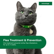 Advantage Topical Flea Treatment & Prevention For Large Cats Over 9 lbs. (2 Count)