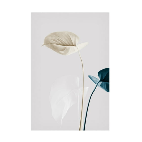 Trademark Fine Art Pictufy Studio Monstera Creative 22 Canvas Wall Art