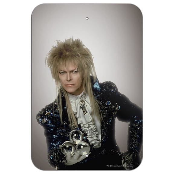 David Bowie As Jareth From The Labyrinth Home Business Office Sign