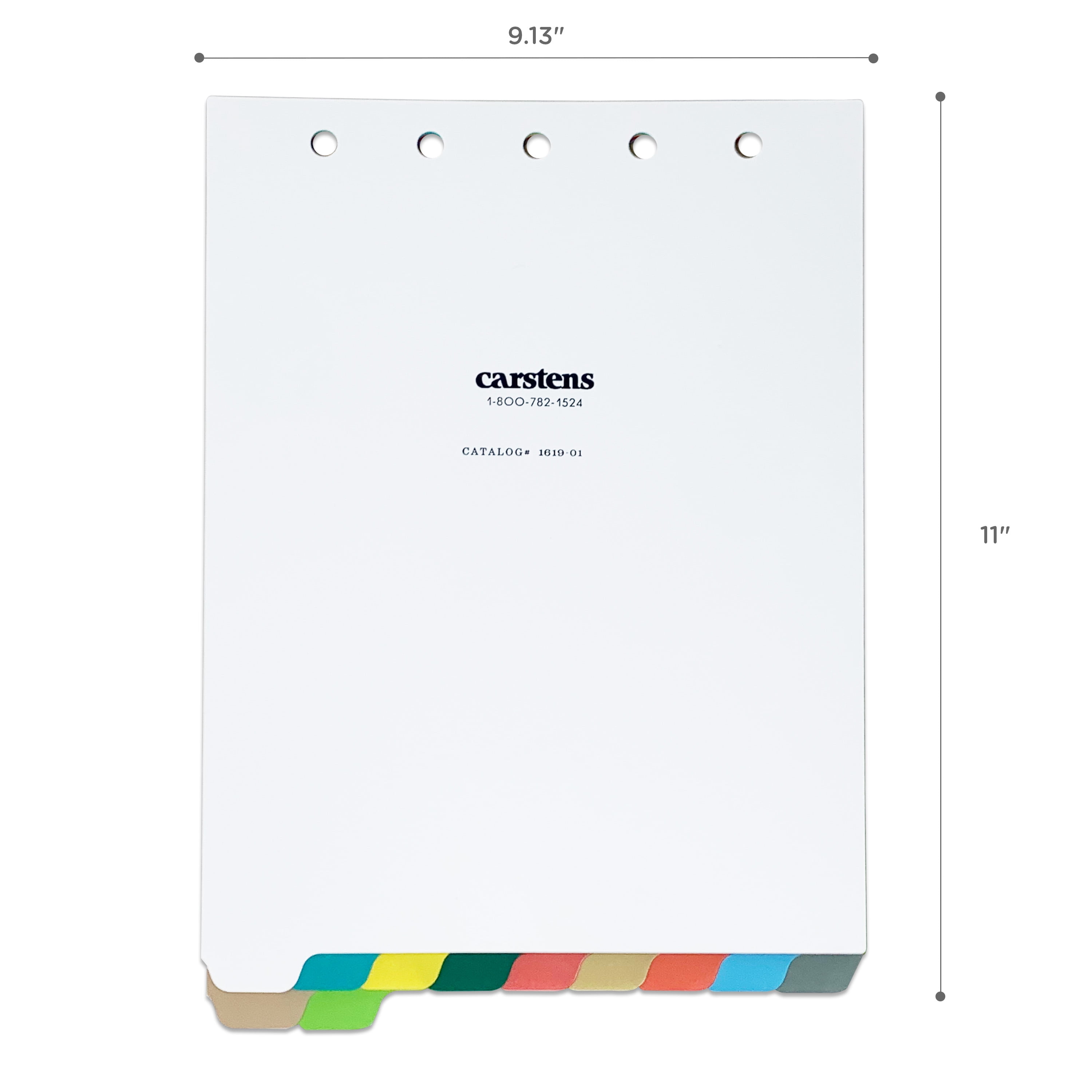Carstens Heavy Duty Plastic Dividers, 11-Tab, Multi-Color, Blank, for Top-Opening 2-Ring, 3-Ring and 5-Ring Binders
