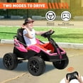 Danolapsi 24V 4x4 Ride On Toy for Big Kids, 4x85W 6MPH Ride On UTV Car w/Parent Remote, 16