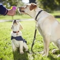 thumbnail image 3 of Dog Training Whistle and Clicker Combo Function Device for Pet Behavior Obedience and Outdoor, 3 of 3